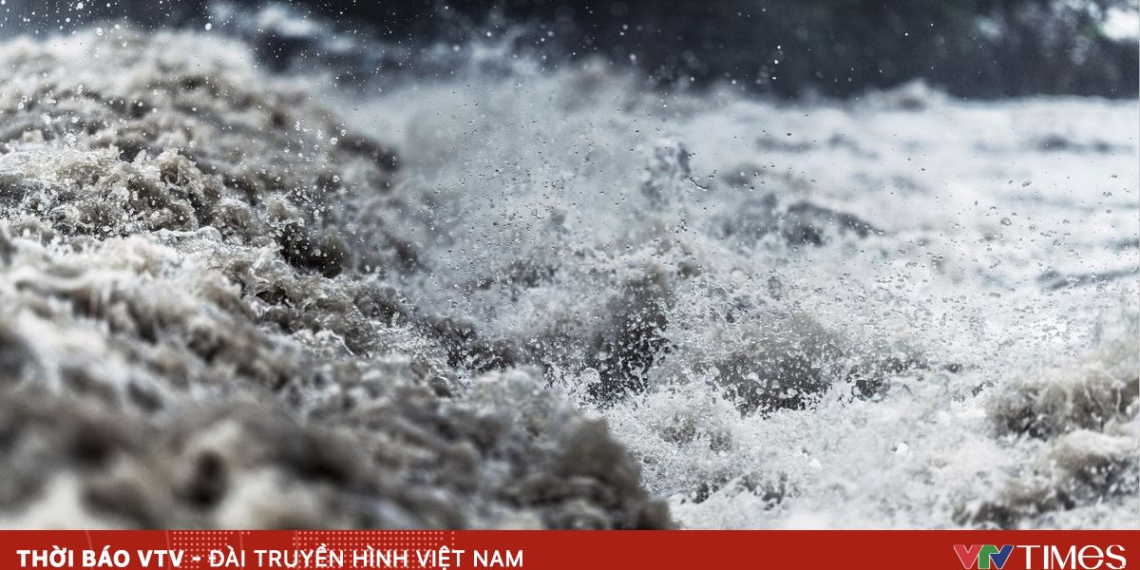 package media 14661674759903209304538 38216728239582301275077.png