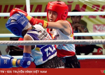 package media 74396121494415680166822 99664093648747486898866.png