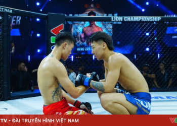 package media 81778029741615489683958 66998436499839254951795.png