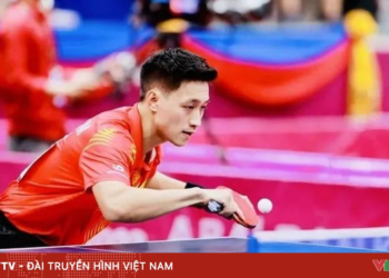 package media 90169026544304869027485 56095878456061104115883.png