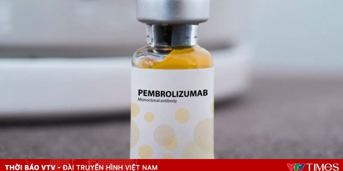 screen shot 2025 11 11 at 115304 ampng 1762836807334 32852866026538973175046 85283629562986503720128.webp.jpeg