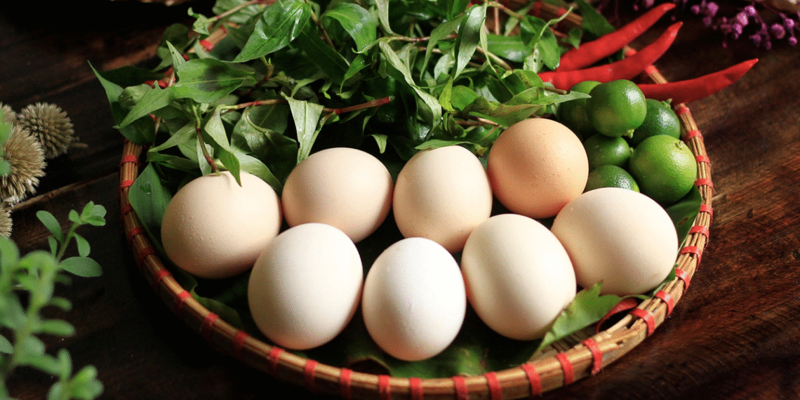 screenshot 2025 05 23 at 10 29 8166 8423 1763457877.png