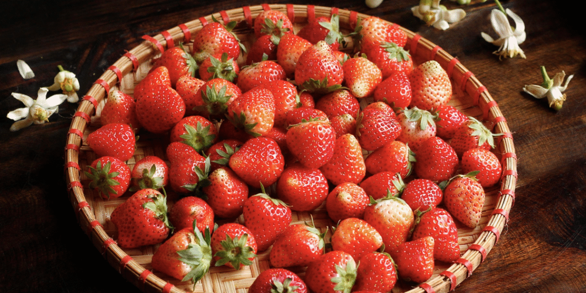 screenshot 2025 10 13 at 13 19 3539 7974 1761488315.png