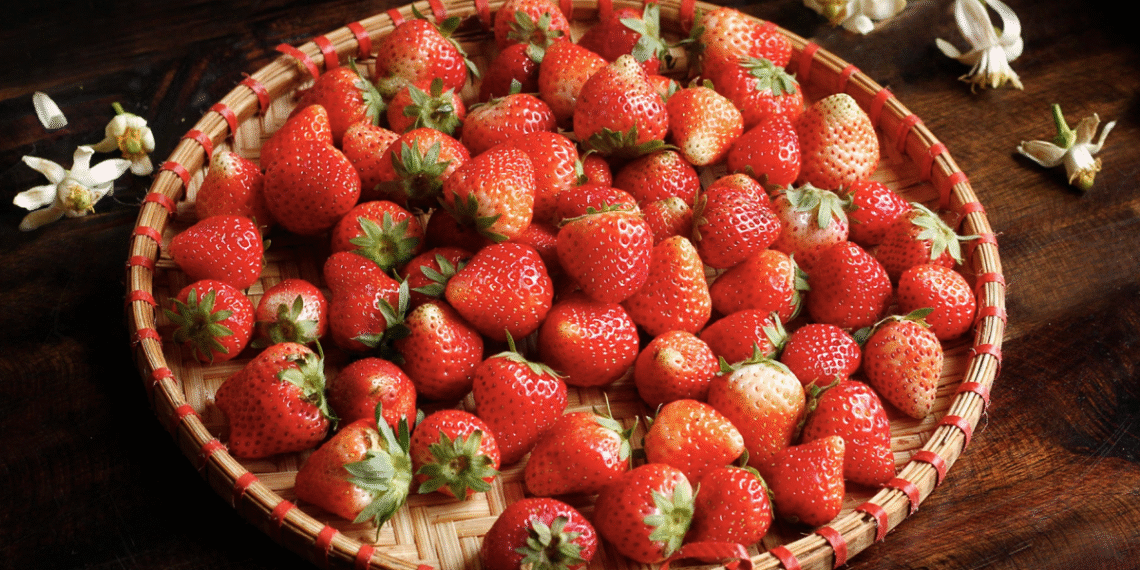 screenshot 2025 10 13 at 13 19 6321 7239 1764309258.png