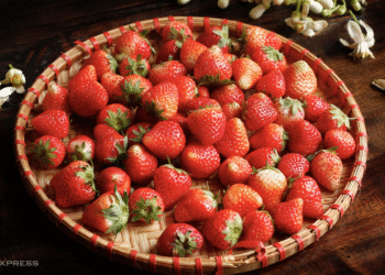 screenshot 2025 10 13 at 13 19 6321 7239 1764309258.png