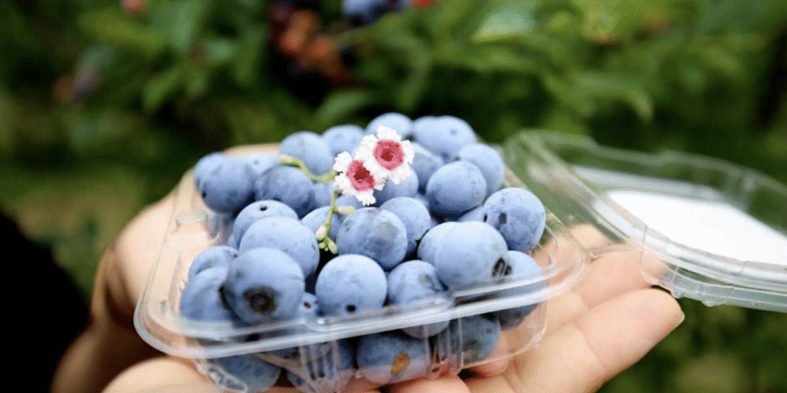 screenshot 2025 10 27 at 12 46 4591 7493 1762056144.png