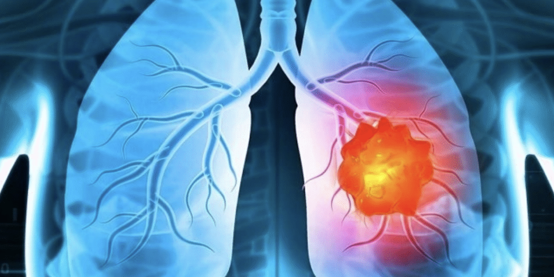 screenshot 2025 11 02 at 11 23 3048 3427 1762057500.png