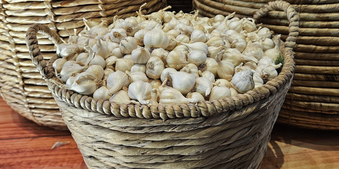 screenshot 2025 11 12 at 21 41 6796 1388 1762958628.png