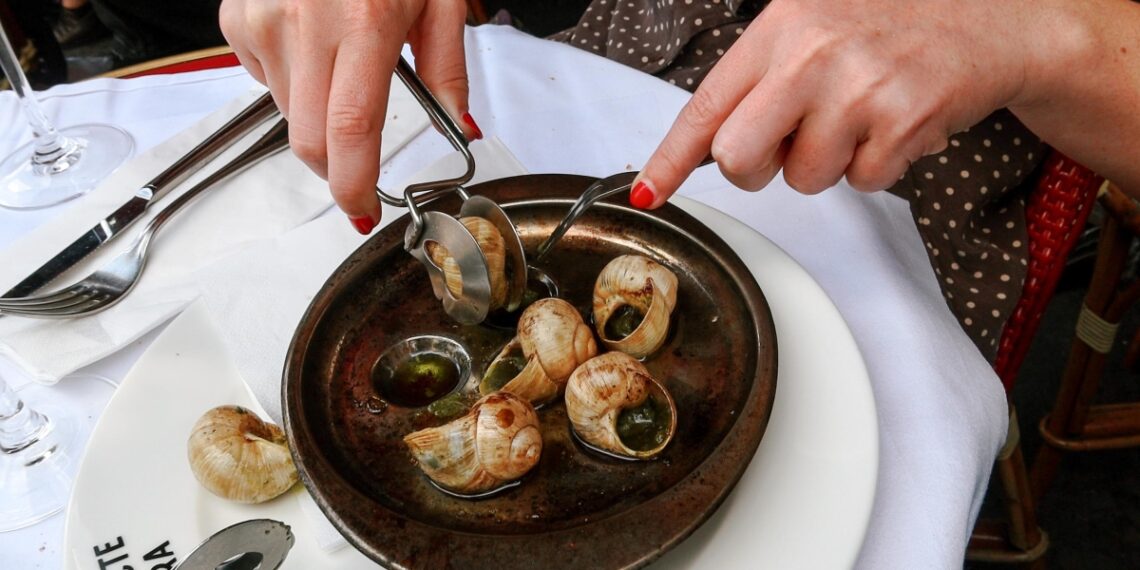 snailsinparis1 1764068615 1764 8280 9547 1764068657.jpg