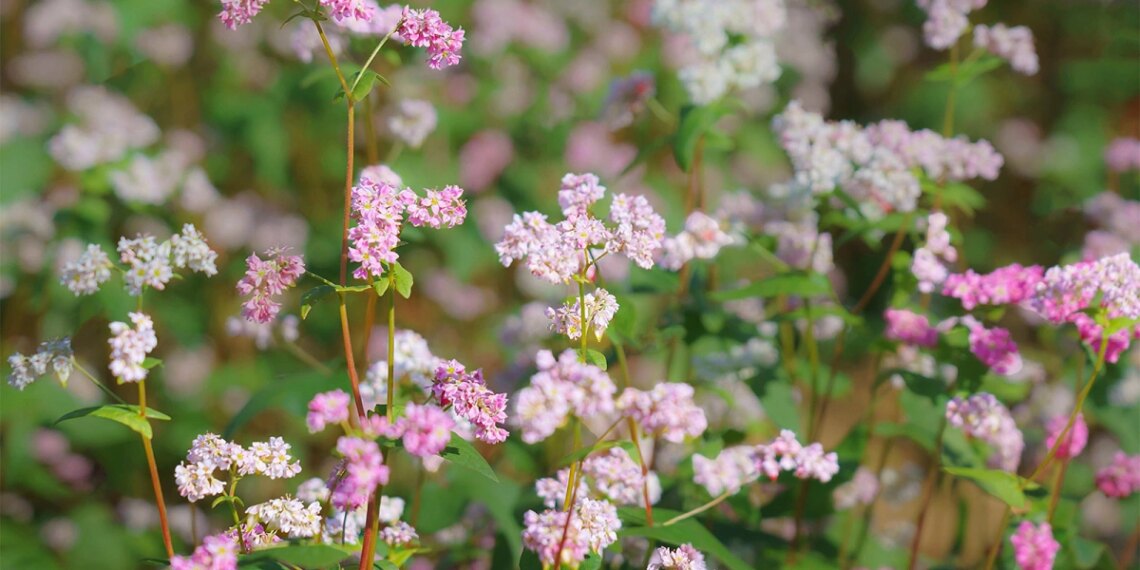 tgm1 1763540321 1763540337 6706 1763540378.jpg