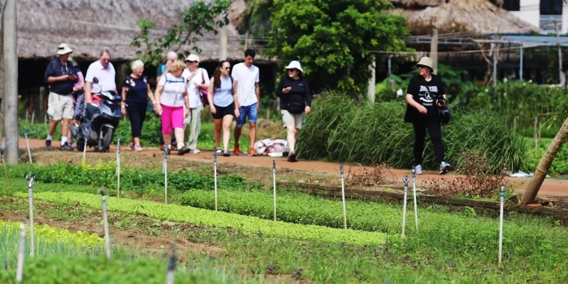 4 làng nghề truyền thống gắn với du lịch nông nghiệp tq 1763956307 1763956729 3217 1763956825.webp.webp