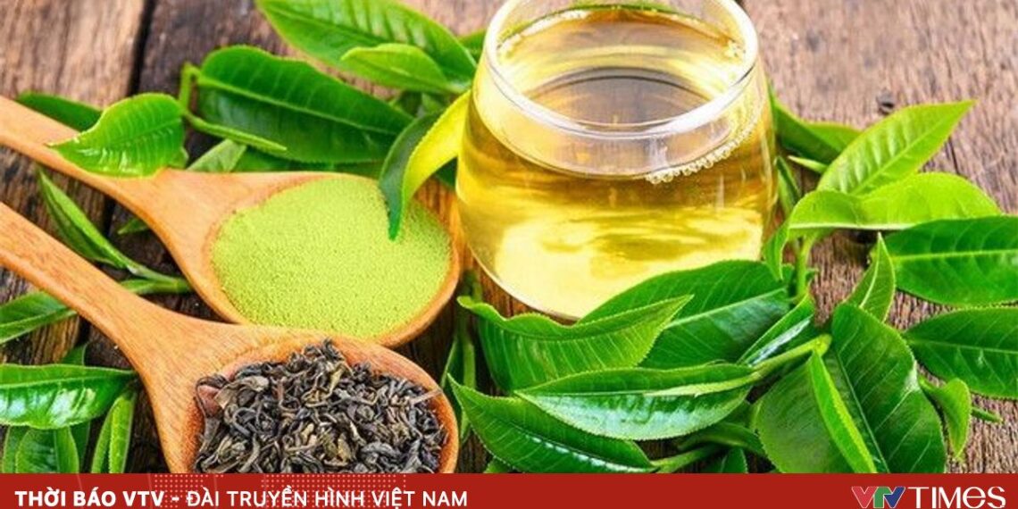 tra xanh 79358309066073918362663 64279420116248929643226.jpg