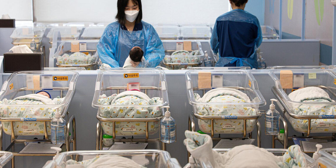 tre 1762334011 1762334045 4162 1762334247.jpg