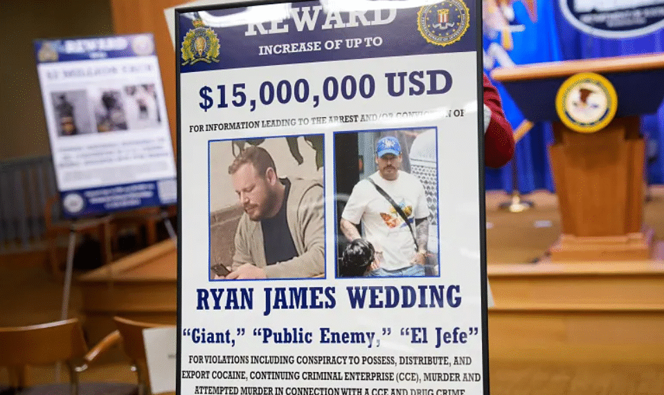 wedding2 png 1763917062 176391 7936 2532 1763917077.png