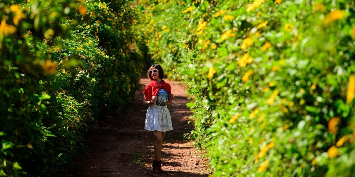 z4866694602184 585176468577a3c 4037 4911 1761645430.jpg