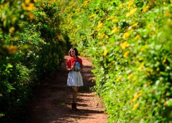 z4866694602184 585176468577a3c 4037 4911 1761645430.jpg