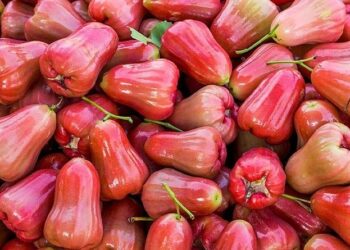 01649132237 1766224816 1766224 9112 3101 1766224834.jpg