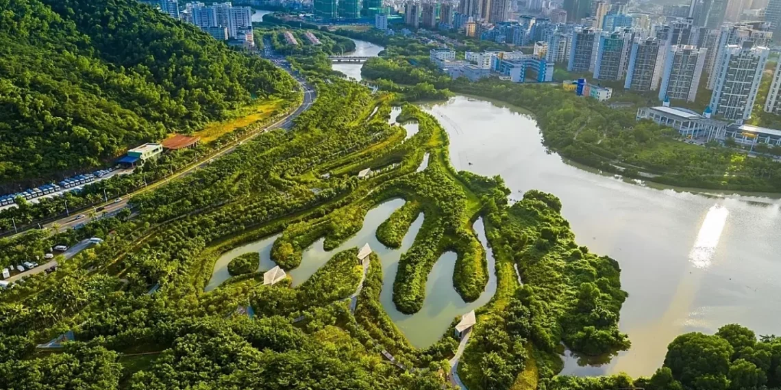 1536x864cmsv2518f576806fd5e779 7118 3741 1764929801.webp.webp