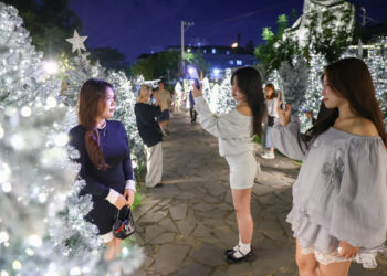 233a5569 1765355609.jpg