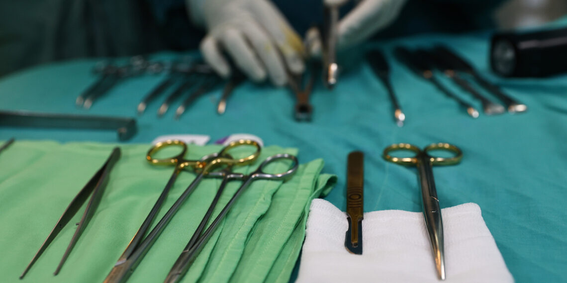 233a4187 2 1765791929 8247 1765792017.jpg