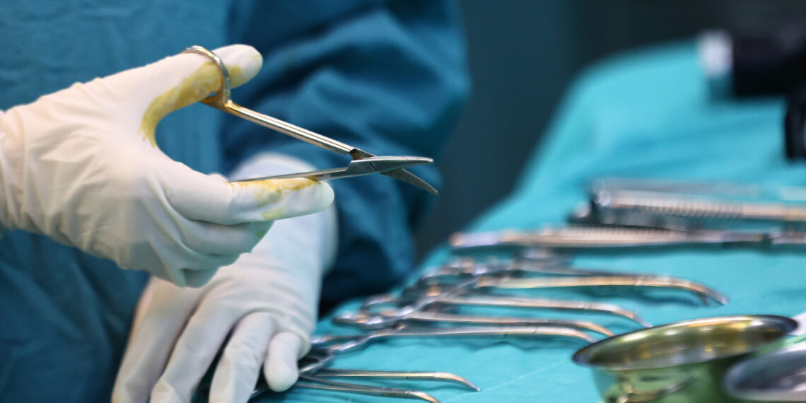 233a4336 1765266159 3913 1765266229.jpg