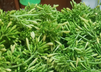 4 nhom nguoi nen tranh dung hoa du du duc 1209.png