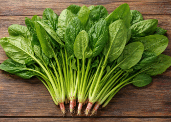 49b70a3480444d289ef03b0a6a2cd8 1391 9797 1766379643.png