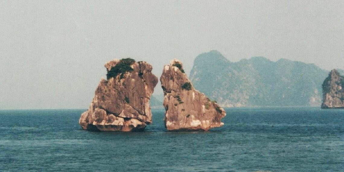 589055977 2597646850635265 2561160618791639260 n 1764060520 1764164521.jpg