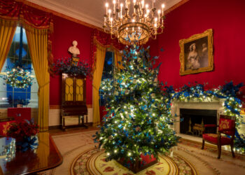 9132357a 2971 b5da 566f 235d45e18b25 1765873261.jpg