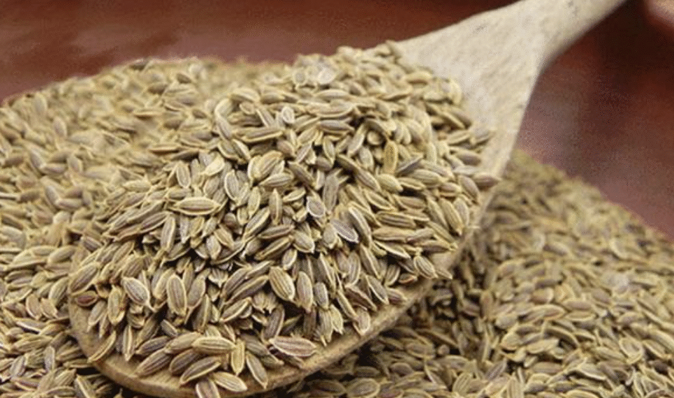 anhchupmanhinh20251206luc14054 6620 4124 1765006627.png