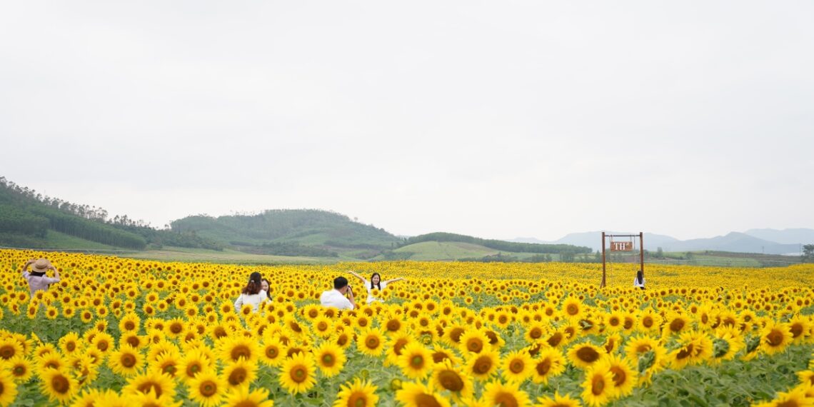 dvh01832 jpg 1766480519.jpg