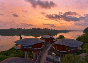 image 832476417 extractword 2 6975 4146 1766196830.png