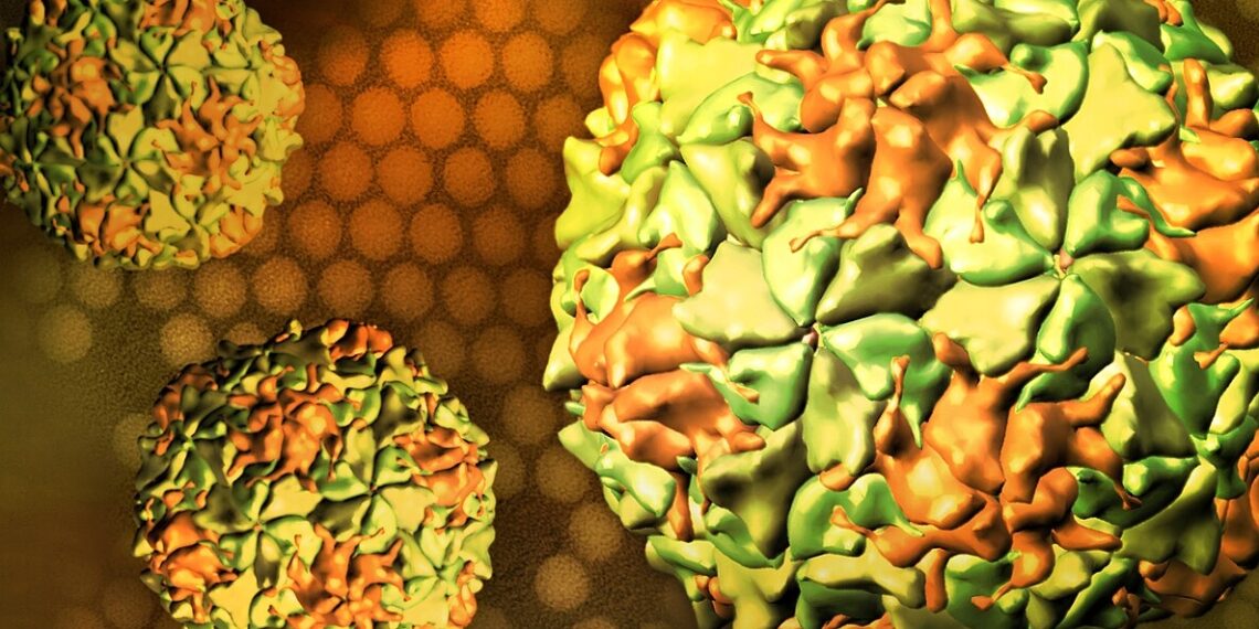 poliovirus52467777728 17655382 1948 6103 1765538249.jpg