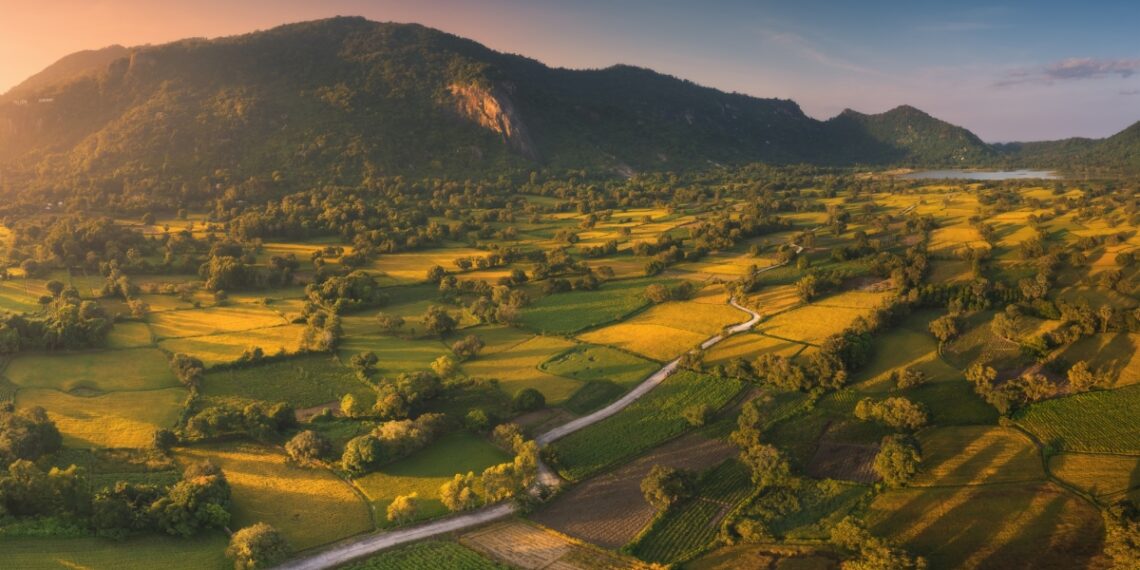 ta pa 06 1765183356.jpg