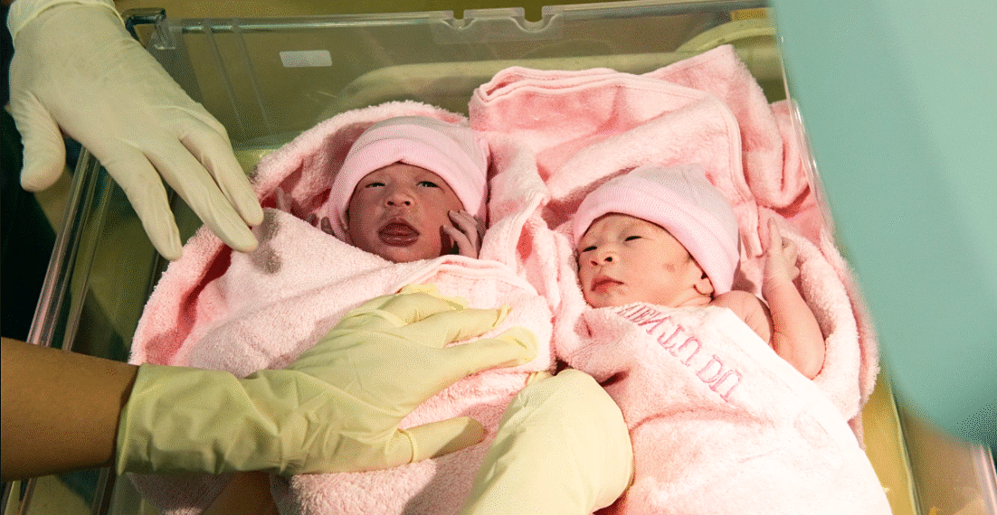 anh chup man hinh 2025 12 22 l 1629 2956 1766403587.png