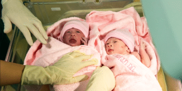 anh chup man hinh 2025 12 22 l 1629 2956 1766403587.png