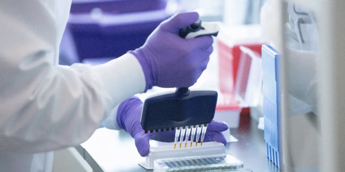 anh man hinh 2025 12 16 luc 105512 1250.png