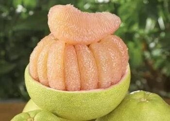 buoi tot cho 6 nhom nguoi co the an thuong xuyen 3102.jpg