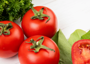 ca chua tang gia manh co nen tiep tuc an 3108.png