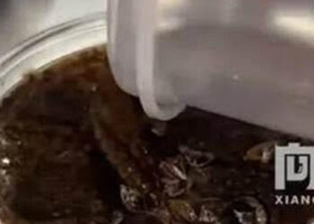 ca phe rac bot gian bat ngo gay sot gioi tre to mo uong thu 1587.jpg