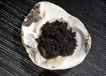 caviarbelugaandsalmon 17655596 4465 9164 1765559710.jpg