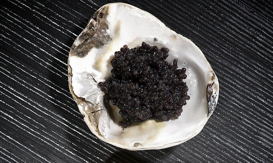 caviarbelugaandsalmon 17655596 4465 9164 1765559710.jpg