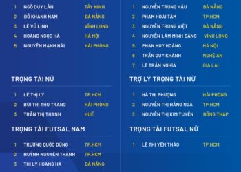 co bao nhieu trong tai vleague dat dang cap fifa.jpg