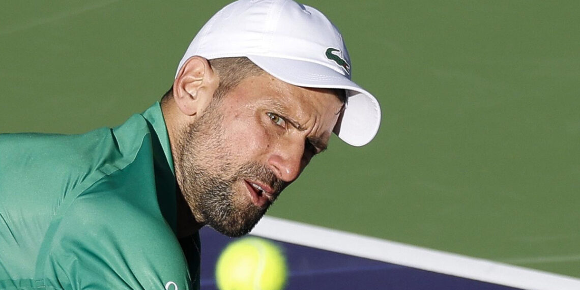 con ac mong novak djokovic qua roi thoi dinh cao 60251.jpg