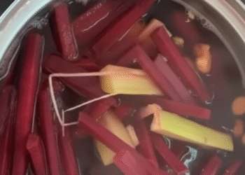 cu den nau mia thuc uong bo sat tot cho mau 3013.png