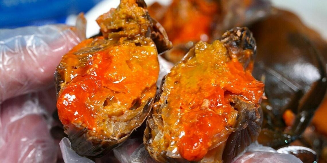 cua gach ngam nuoc mam jpg 176 7420 1971 1764138105.jpg