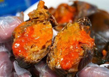 cua gach ngam nuoc mam jpg 176 7420 1971 1764138105.jpg