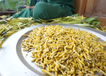 dac san dien bien khong phai ai cung dam thu khach sanh an khen ngay thom 794.png