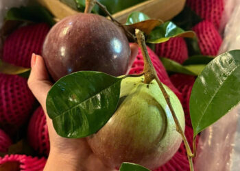 dac san dong thap ngot thom nhu sua khach ha noi dat ship ca nghin km ve an 418.jpg