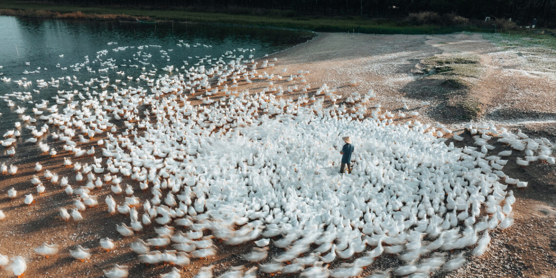 dji 20251217065541 0963 d 1766077490 1766081431.jpg